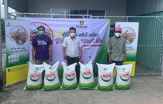 Phân bón Cà Mau chia sẻ khó khăn với nông dân trồng lúa