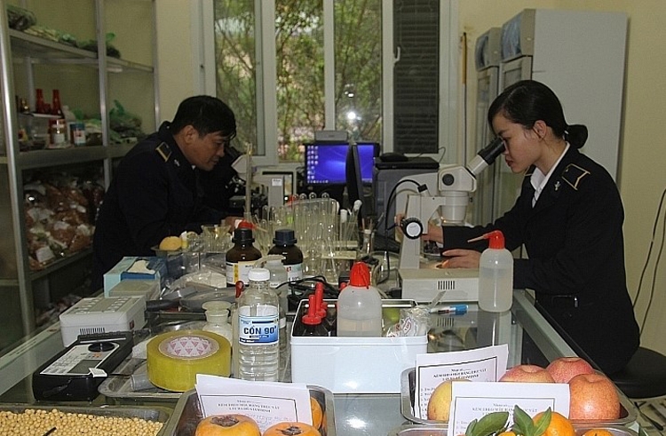 Sửa quy định thủ tục kiểm dịch thực vật xuất, nhập khẩu