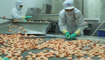 Enterprises prepare to boost seafood exports to the EU