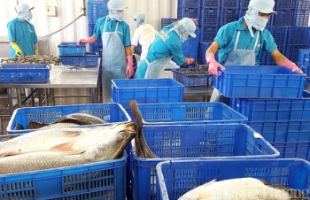 Bộ Công Thương ủng hộ MM Mega Market trong nỗ lực sản xuất, tiêu thụ, xuất khẩu hàng hoá của Việt Nam