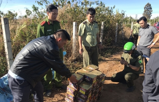 Gia Lai: Chuyển giao trên 82kg pháo cho công an điều tra xử lý