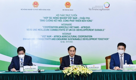 Hợp tác nông nghiệp Việt Nam – châu Phi: Tìm phương thức mới, phát triển bền vững