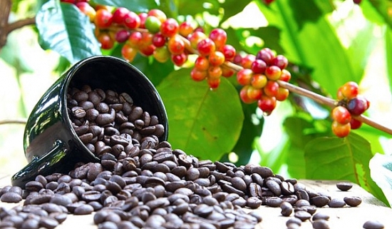 Thị trường hàng hoá ngày 19/5: Nhóm nguyên liệu công nghiệp giảm mạnh