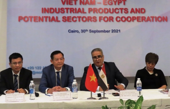 Việt Nam - Ai Cập: Triển vọng hợp tác trong lĩnh vực công nghiệp