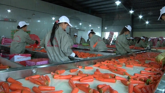 Tận dụng tối đa quy tắc xuất xứ trong các hiệp định thương mại tự do