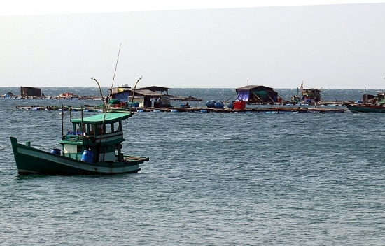 Việt Nam - Na Uy: Nhiều triển vọng hợp tác kinh tế trong lĩnh vực năng lượng và kinh tế biển