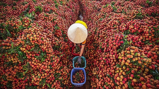Bắc Giang: Chuyển đổi số để có đầu ra cho nông sản bền vững