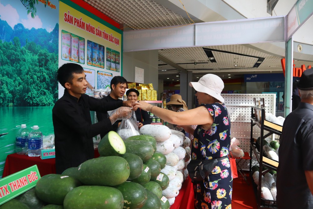 Bắc Kạn xúc tiến tiêu thụ Bí xanh thơm gắn với du lịch trải nghiệm tại Ba Bể