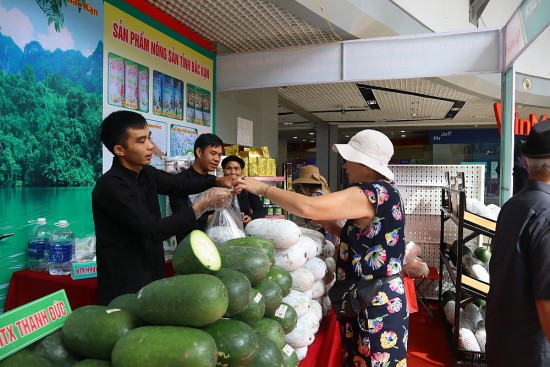 Bắc Kạn xúc tiến tiêu thụ Bí xanh thơm gắn với du lịch trải nghiệm tại Ba Bể