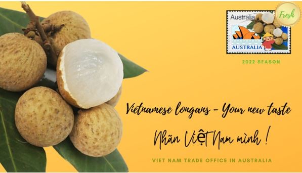Nhãn Việt Nam đổ bộ thị trường Australia