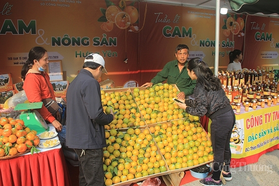 Xúc tiến thương mại sản phẩm cây có múi và sản phẩm OCOP tỉnh Hưng Yên năm 2021