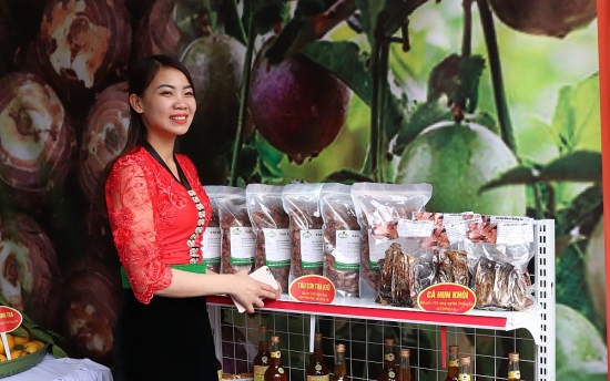 Khuyến công Sơn La: Tập trung thực hiện nhiệm vụ trọng tâm